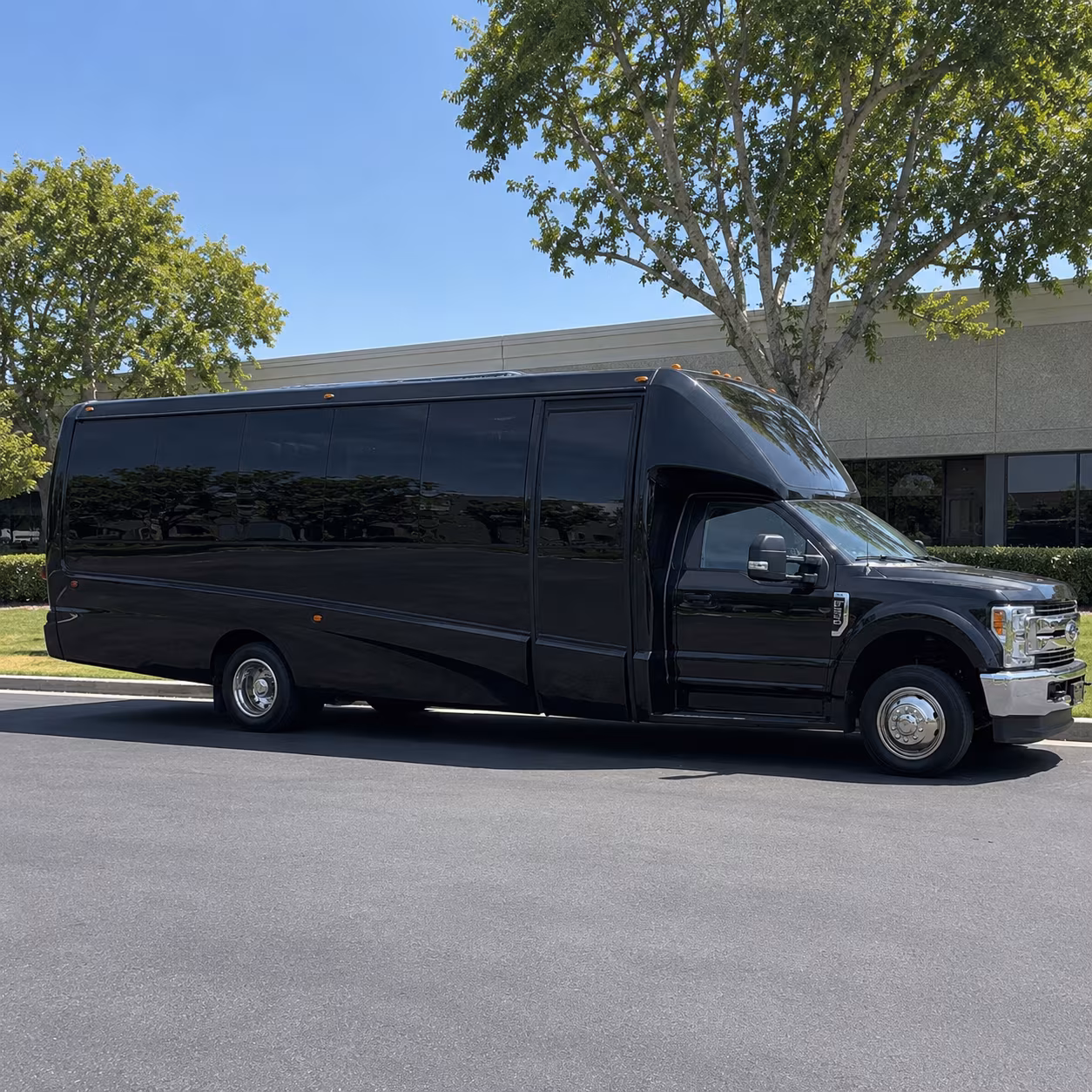 Group beside a Mercedes Sprinter limo in Lansing