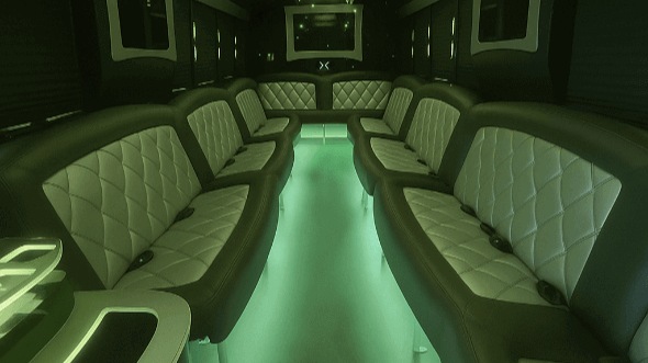 grand rapids 20 passenger party bus